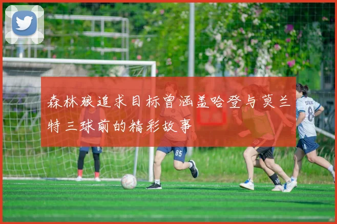 森林狼追求目标曾涵盖哈登与莫兰特三球前的精彩故事
